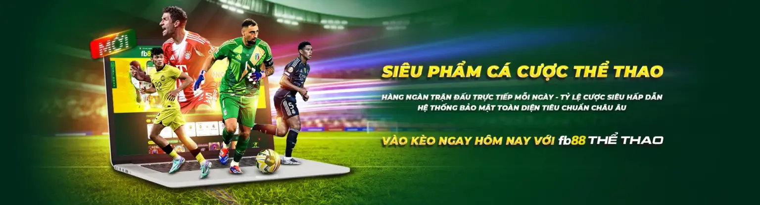 baner chính thức
