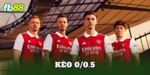 Kèo 0/0.5