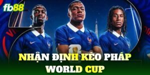 nhan dinh keo phap world cup