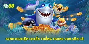 Kinh nghiệm chiến thắng trong vua săn cá