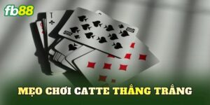 Mẹo Chơi Catte Thắng Trắng