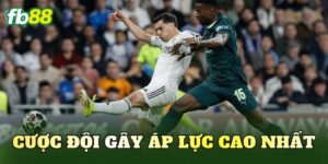 Cược Đội Gây Áp Lực Cao Nhất