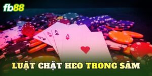 Luật Chặt Heo Trong Sâm